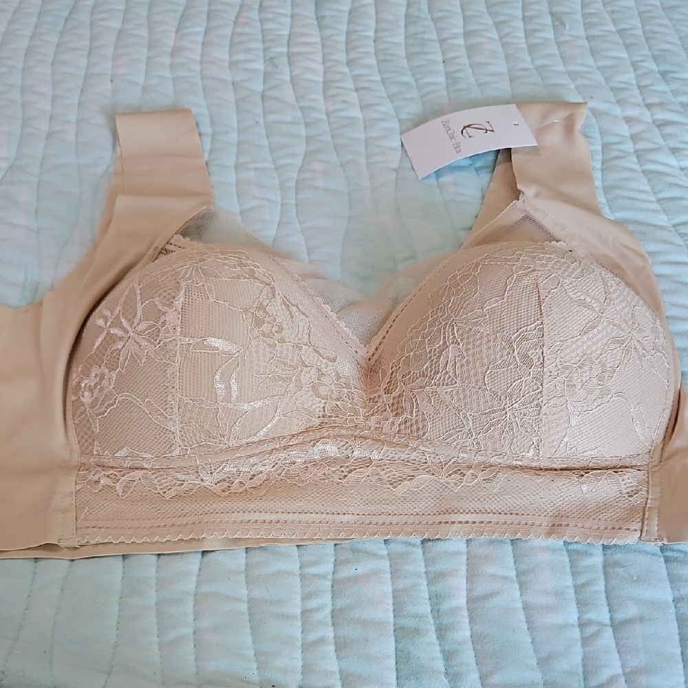Chic Lace Nude Bra